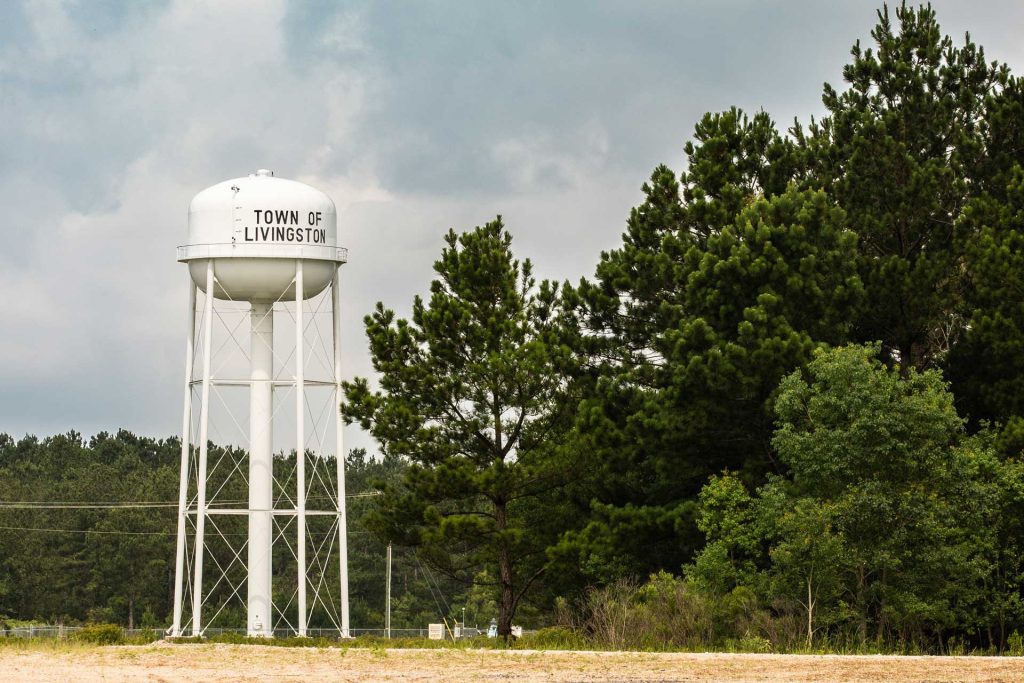 Town of Livingston water tower