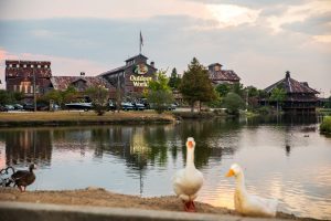 Bass Pro Shops lake with ducks