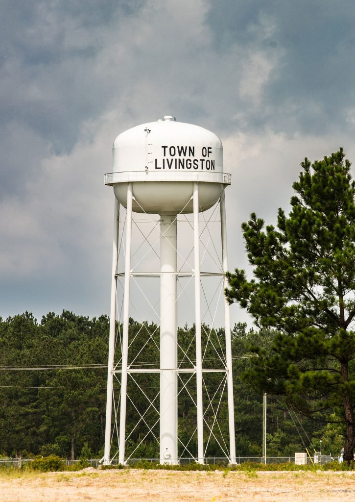 Town of Livingston water tower