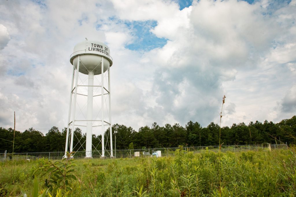 Town of Livingston water tower