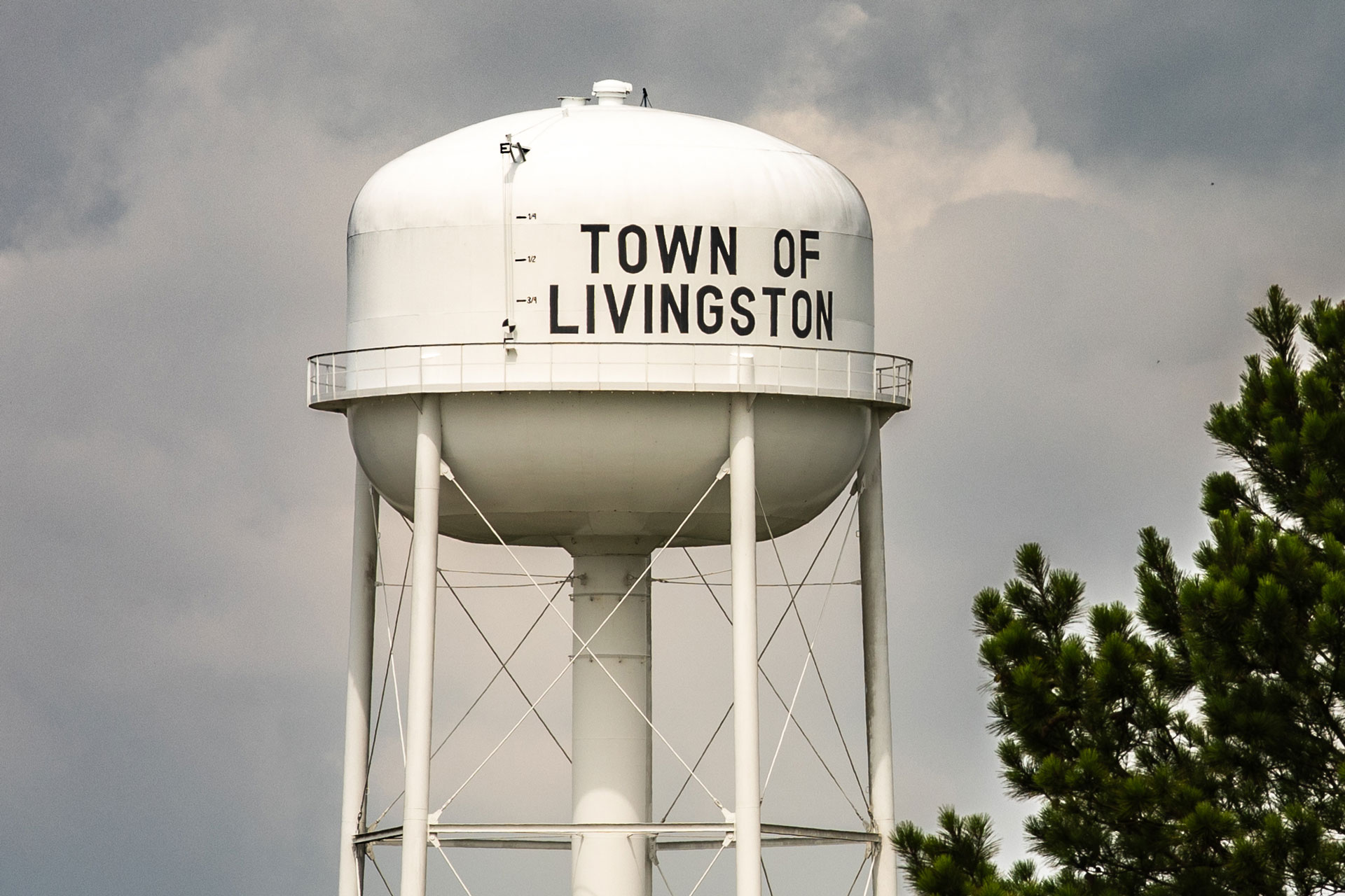 Town of Livingston water tower